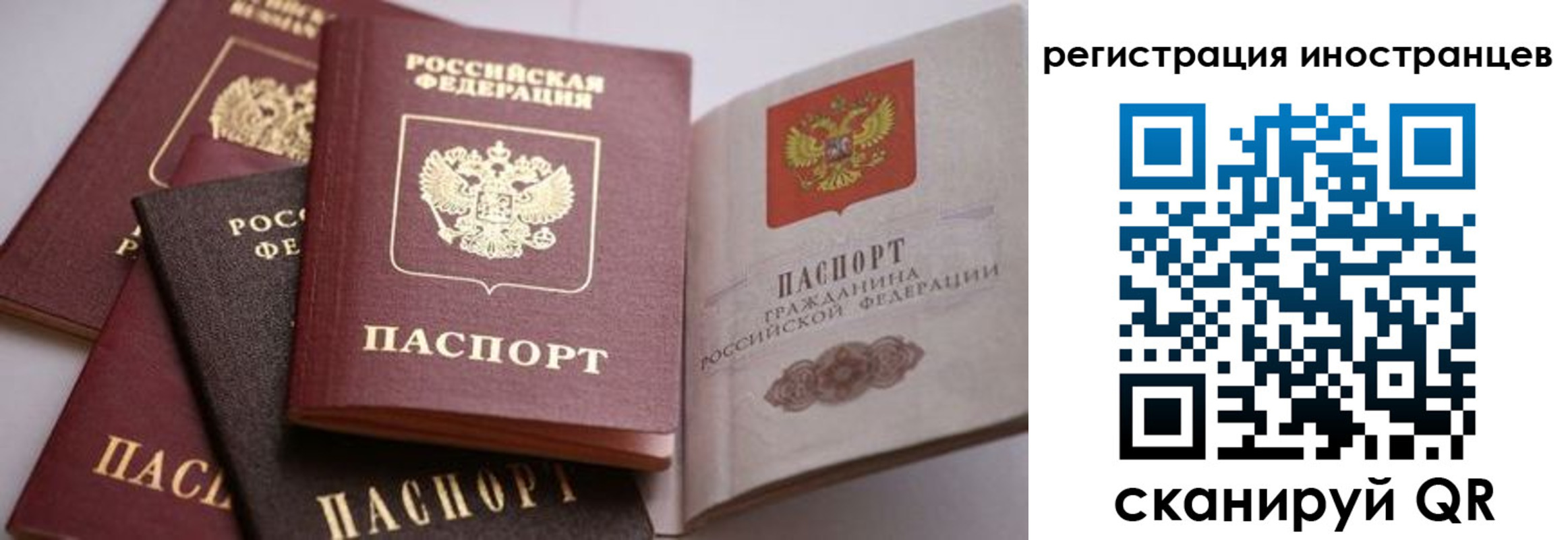 прописка штамп в Ростовской области